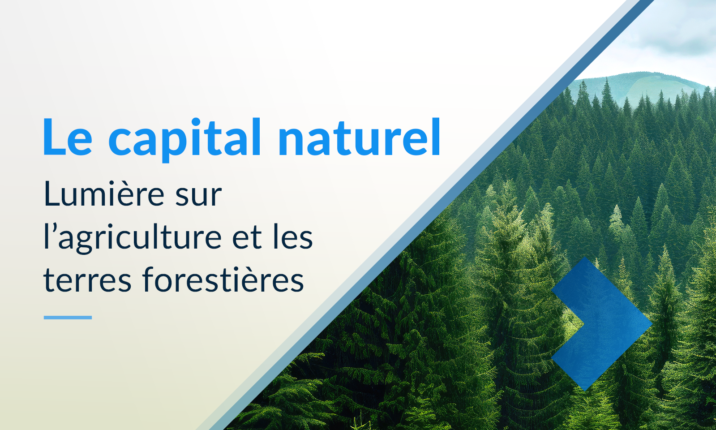 Le capital natural- Lumière sur l’agriculture et les terres forestières