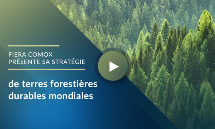 Headline image pour Fiera Comox présente sa stratégie de terres forestières mondiales