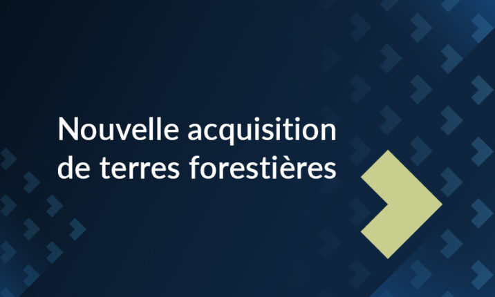 Image abstraite aux couleurs de Fiera avec les flèches